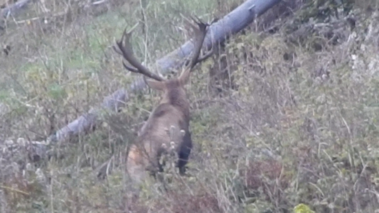 2tyždne kto skoho a predsa vysiel