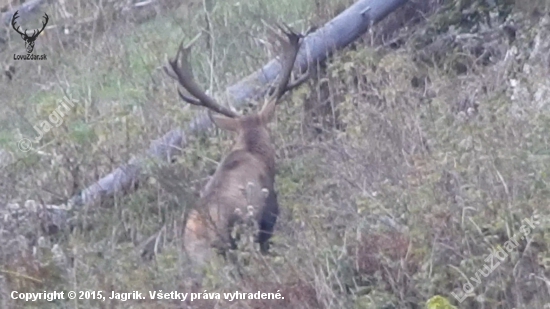 2tyždne kto skoho a predsa vysiel