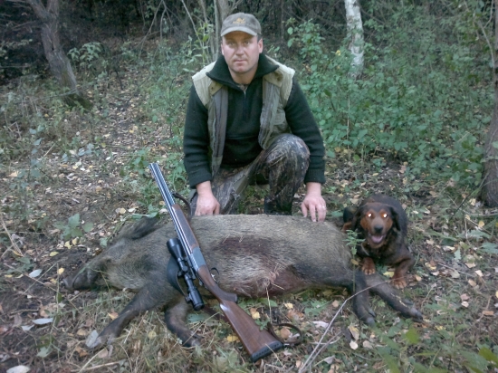 Dohľadávka s ibisom