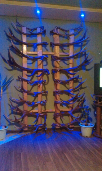 Konečne sú na svojom mieste