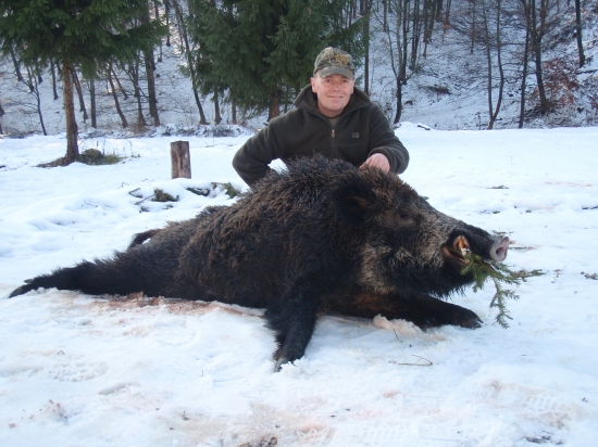 iný záber k ID 191113