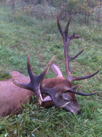 iný pohľad k ID 191386