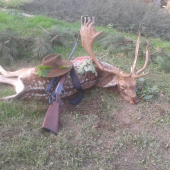 Dar od kamaráta k 50-tke.Lovu -lesu.