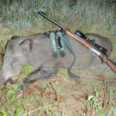 Trochu väčší lanštiak