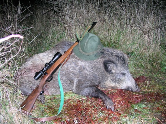 sobota podvečer