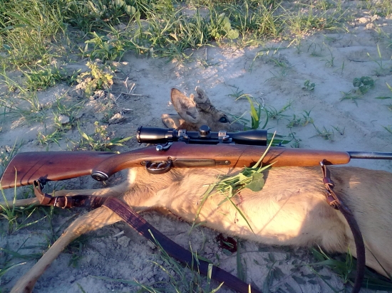 druhy tento rok   I vtr.