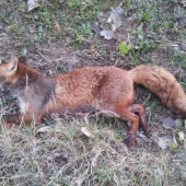 Druhá v tomto roku.