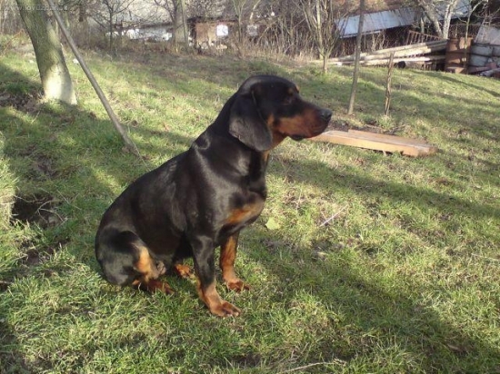 ADA z Chmelova- chovna stanica z Podhorode