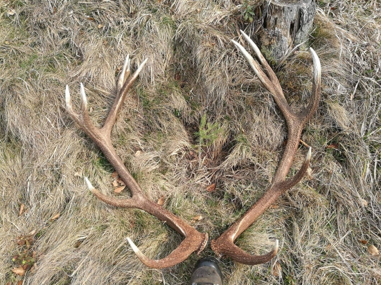 Spolu...20 m. Od seba