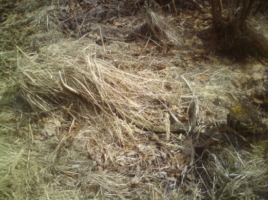 môj včerajši 14-torak