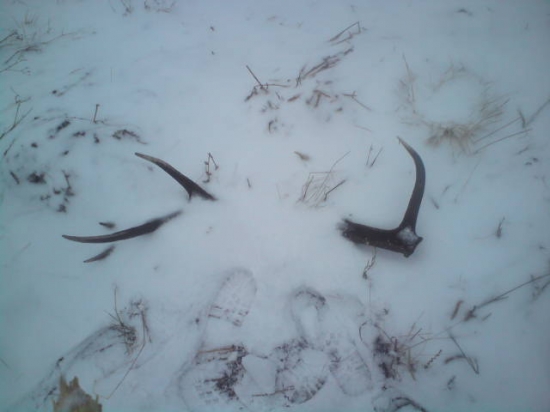 moj vcerajsi 12-torak