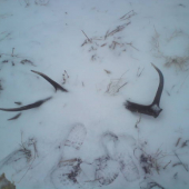 moj vcerajsi 12-torak