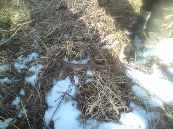 kamarat mi nasiel do pary 12 torak