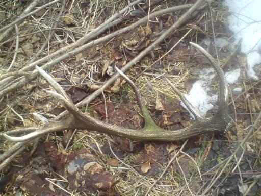 moj 14-torak trosku stary