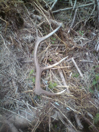 svagrov 8  torak 2 pohlad