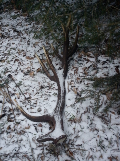 moj dnešný 18 torak