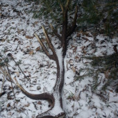 moj dnešný 18 torak