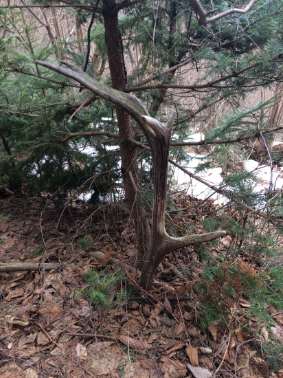 Takto si tam rok na mna počkal  14 torak