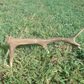 ale som presiel aby som ho nasel :D