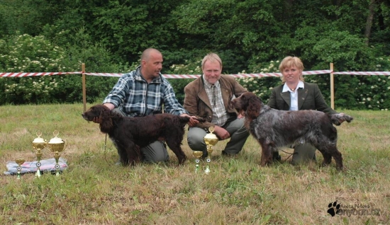 Prepeličar Archie Any-Bon