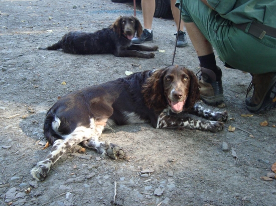 prepeličar Erik Any-Bon se sestrou Ennie