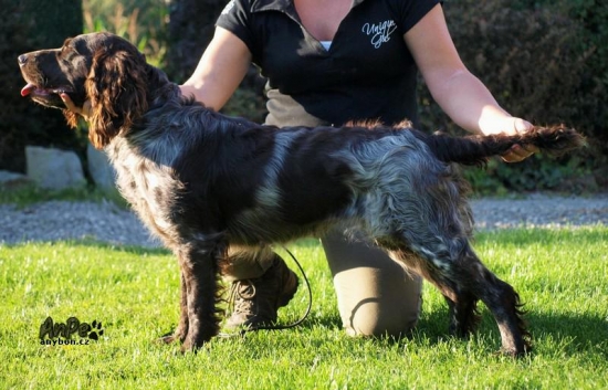 Gera od milavečských mohyl-prepeličiar