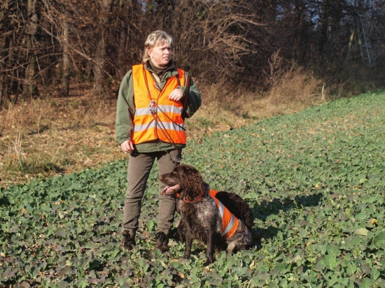 ...pripravený do pohonu