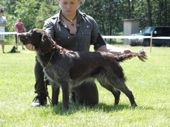 prepeličiar Ennie  Any-Bon