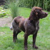 Chicco Any-Bon 8 měs.