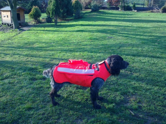 Archie a nový obleček