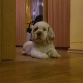 nový pomocník a parťák