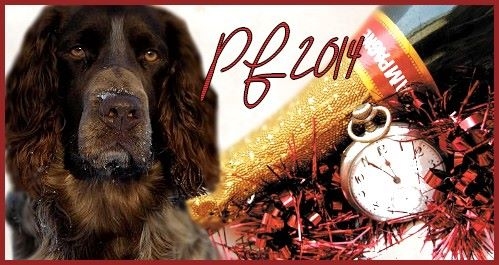 Krásný nový rok všem! Happy New Year my friends!