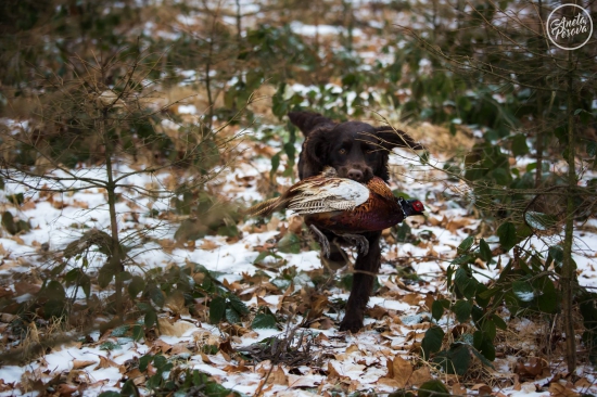 Mary Any-Bon 13 měs.