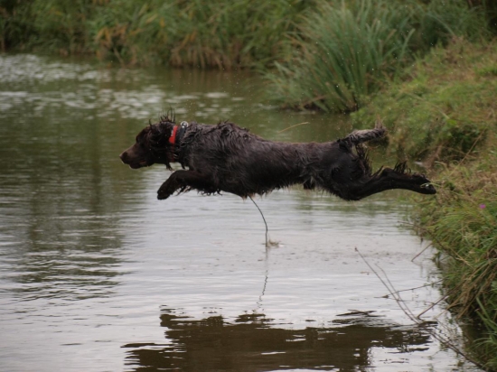 Archie na ochotě v hluboké vodě