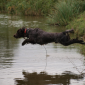 Archie na ochotě v hluboké vodě