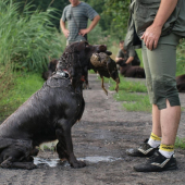 prepeličar-CHS Any-Bon
