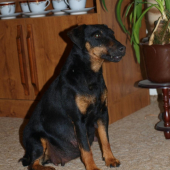 Aggi v očekávání