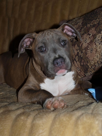 Copy of Didi Fer-Staff