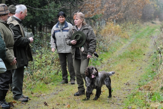 Prepeličar Archie Any-Bon-HZ