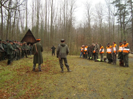 Psy s Chs Any-Bon na nástupu na naháňku na černou