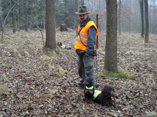 naše smečka před první lečí