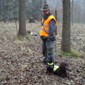 naše smečka před první lečí