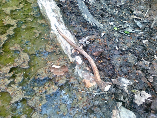 kto hľadá,nájde...skor či neskôr :-))