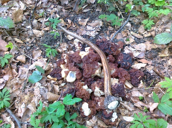 kto hľadá,nájde...skor či neskôr :-))