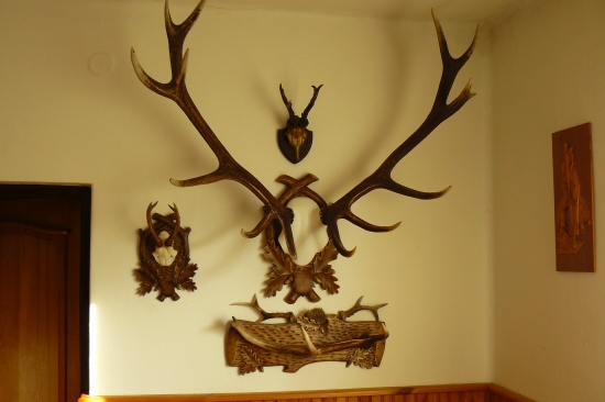 Moja prvá para-bronzový štrnástorák