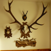 Moja prvá para-bronzový štrnástorák