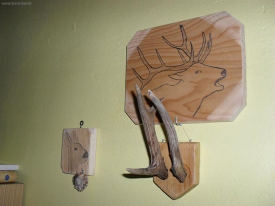 jelen srnec bez parúžku a parohy od srnce