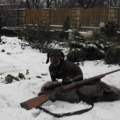 viluškin prvý diviačik