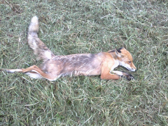 po dlhšom čase sa podarilo