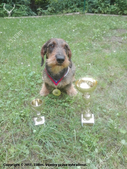 MVP Veľka Ida 2017